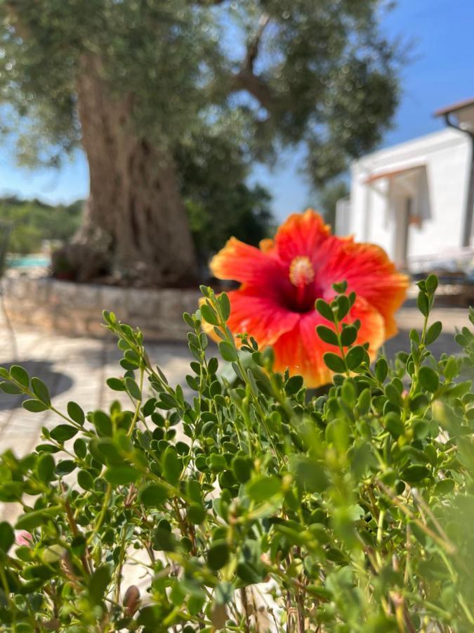 Masseria I Raffi B&B Monopoli Kültér fotó